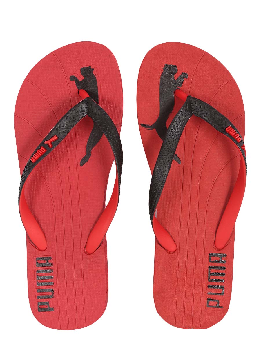 Famous Cat - Flip Flop - 921